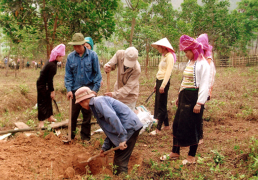 Người Dao giữ vệ sinh môi trường ảnh 1
